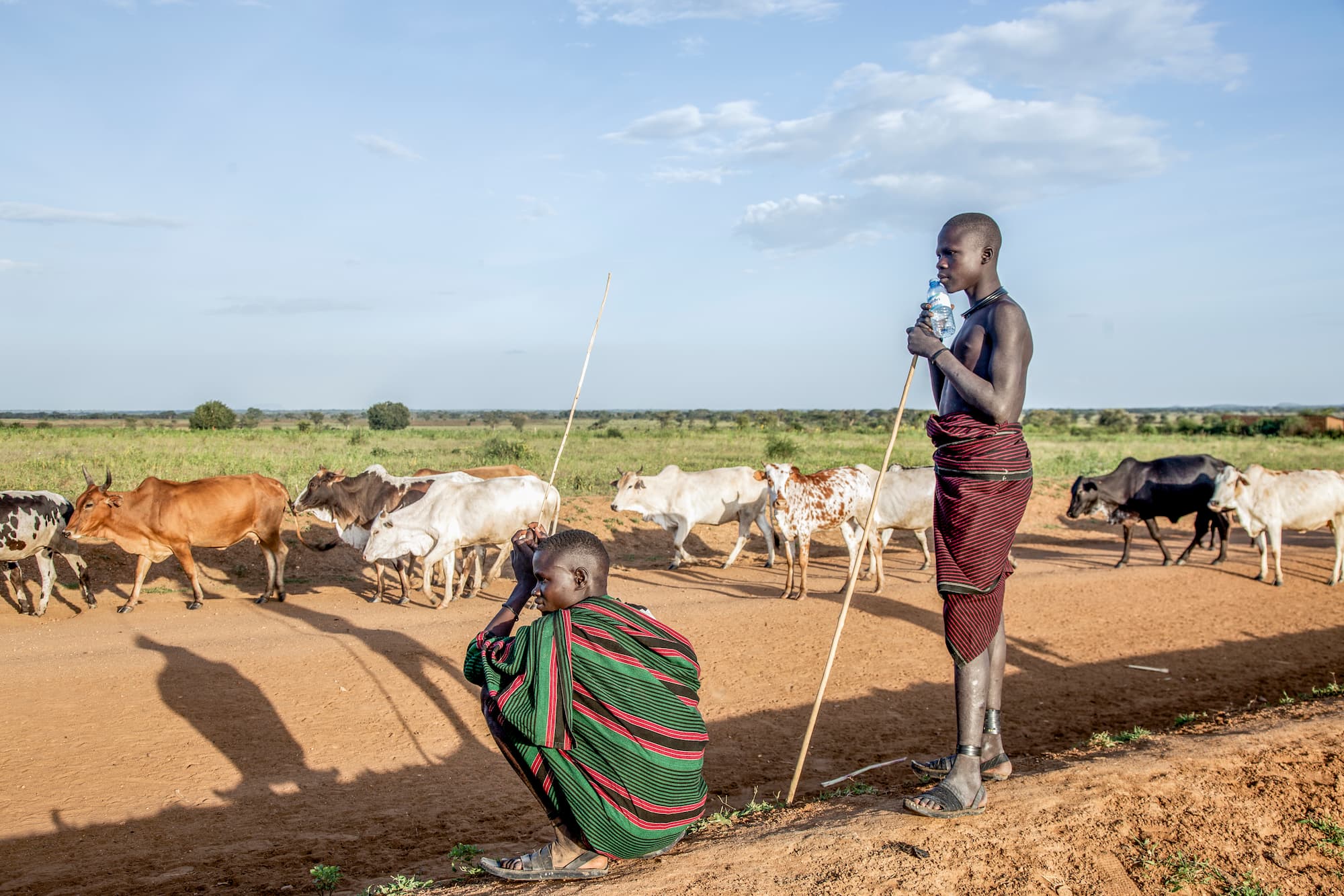 Women_s International Peace Centre 2